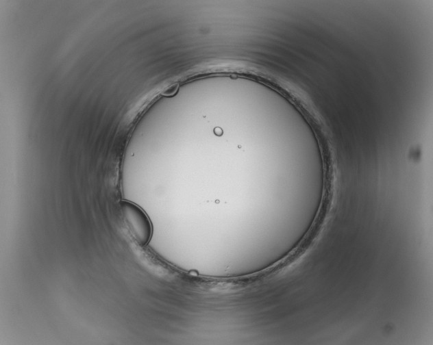 X0000112800841200908211001