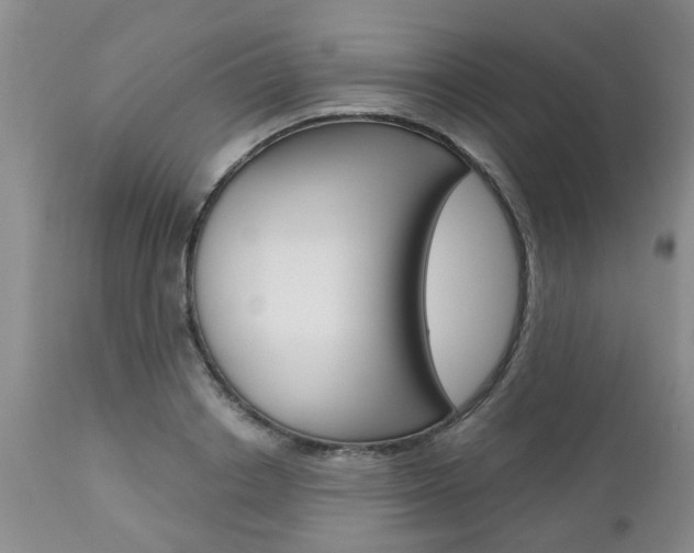X0000112800842200908211001