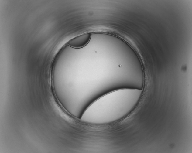X0000112800843200908211001