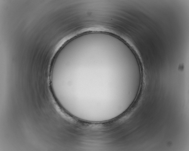 X0000112800845200908211001