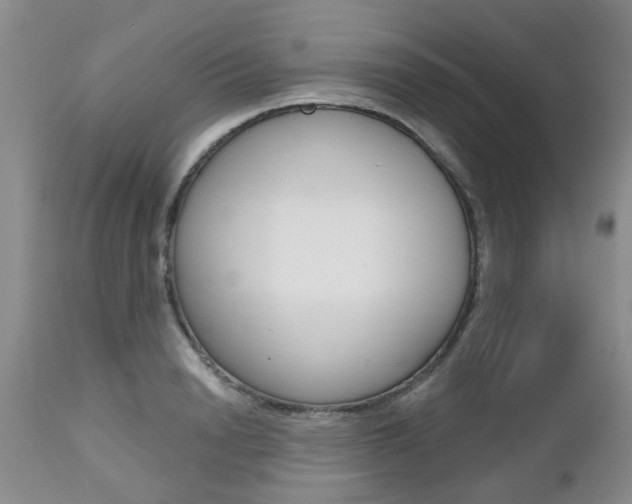 X0000112800846200908211001