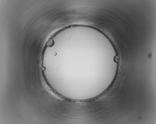 X0000112800848200908211001