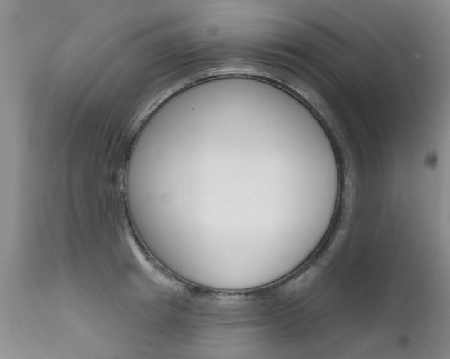 X0000112800849200908211001