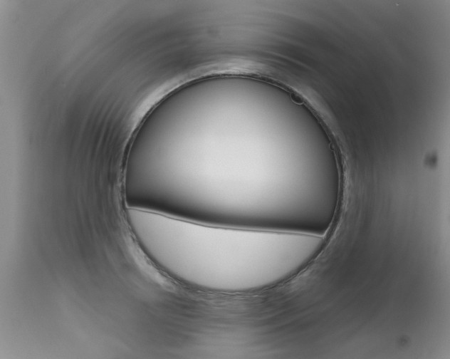 X0000112800850200908211001