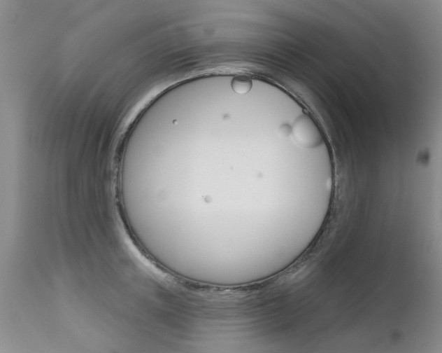 X0000112800851200908211001