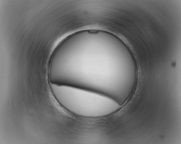 X0000112800854200908211001