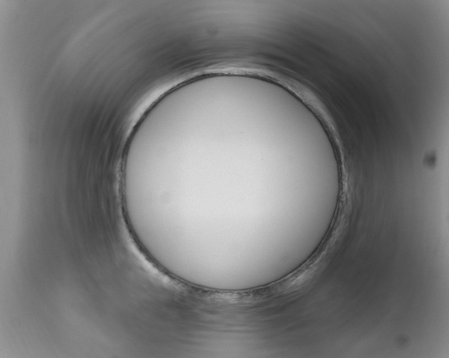 X0000112800855200908211001