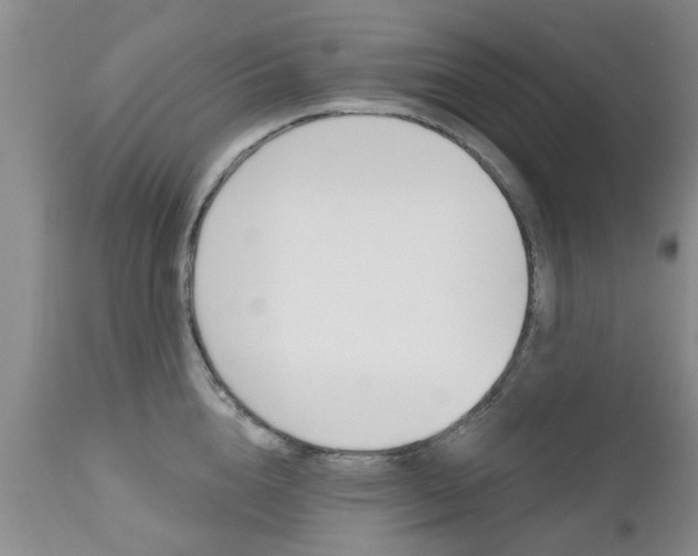 X0000112800856200908211001