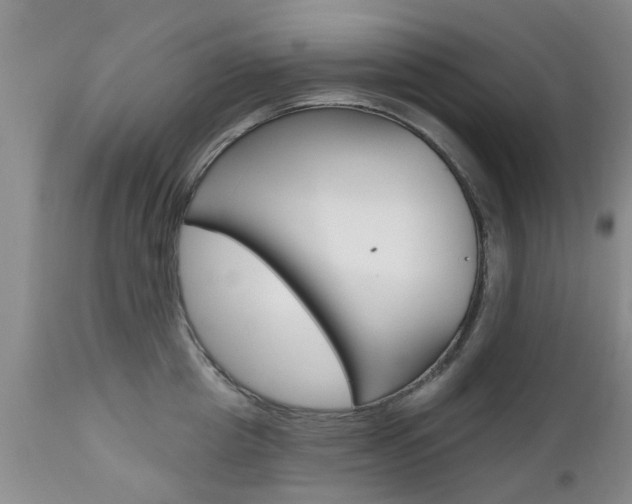 X0000112800857200908211001