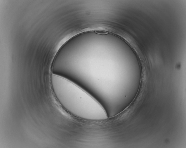 X0000112800858200908211001
