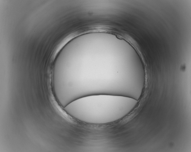 X0000112800859200908211001