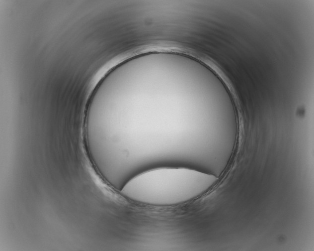 X0000112800861200908211001