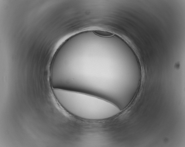 X0000112800862200908211001