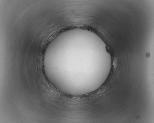 X0000112800867200908211001