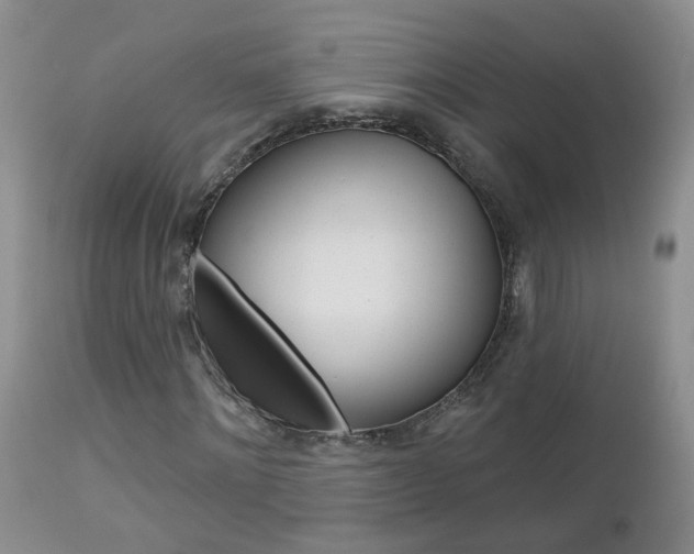 X0000112800868200908211001