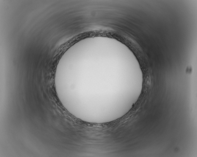X0000112800869200908211001
