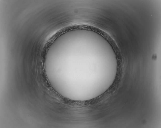 X0000112800871200908211001