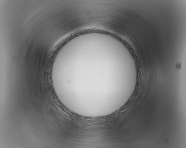 X0000112800872200908211000