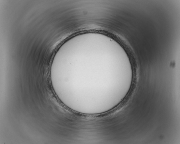 X0000112800873200908211000
