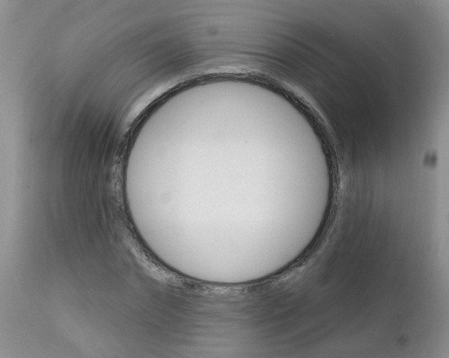 X0000112800874200908211000