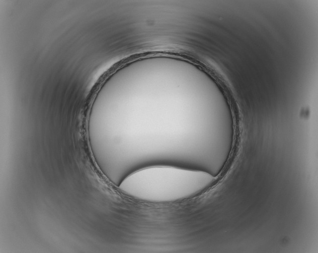 X0000112800875200908211000