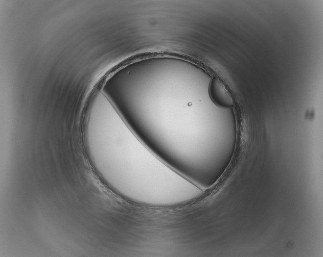 X0000112800876200908211000