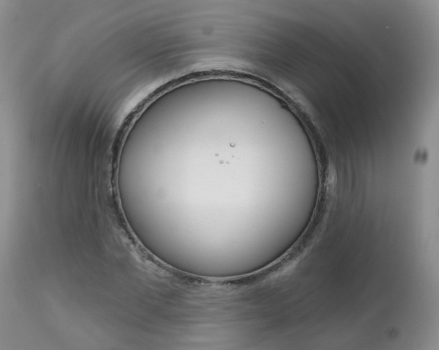 X0000112800877200908211000