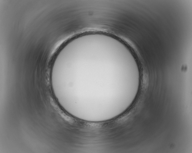 X0000112800878200908211000