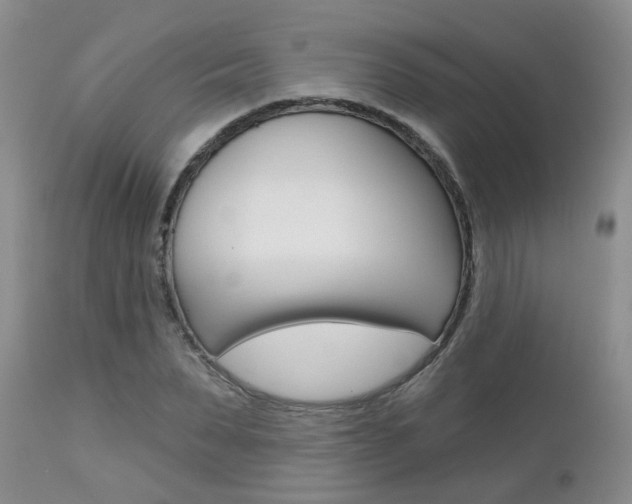 X0000112800879200908211000