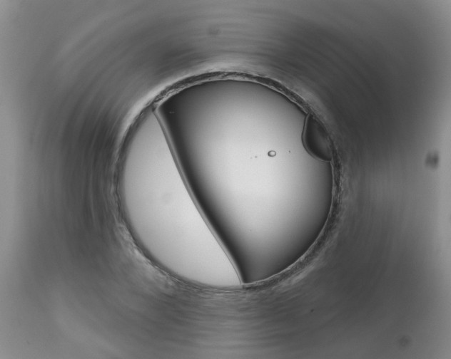 X0000112800880200908211000