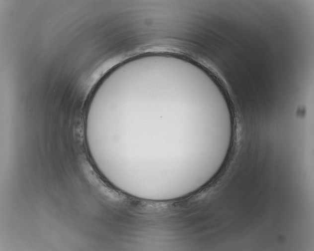 X0000112800882200908211000