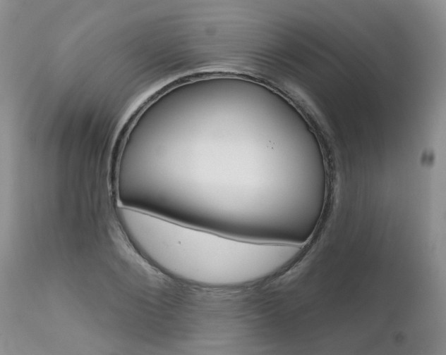 X0000112800884200908211000