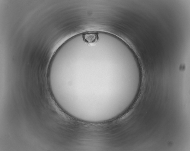 X0000112800885200908211000