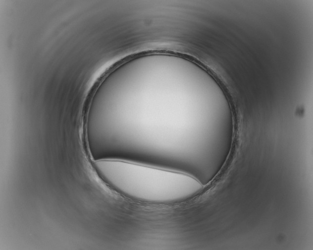 X0000112800888200908211000