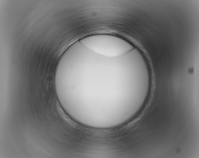 X0000112800889200908211000