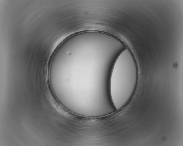 X0000112800891200908211000