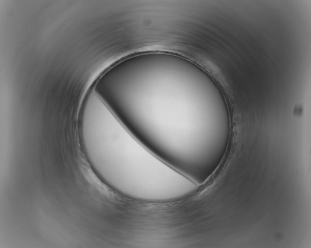 X0000112800892200908211000