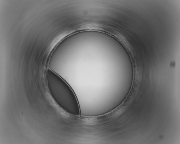 X0000112800893200908211000