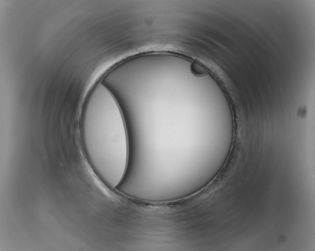 X0000112800894200908211000