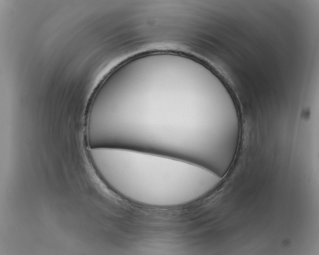 X0000112800895200908211000