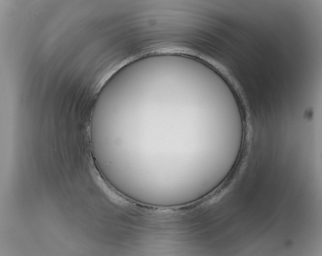 X0000112800897200908211000