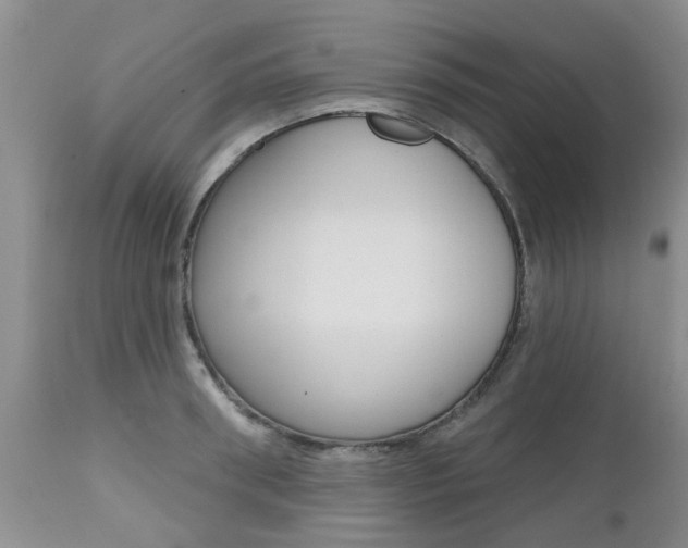 X0000112800898200908211000