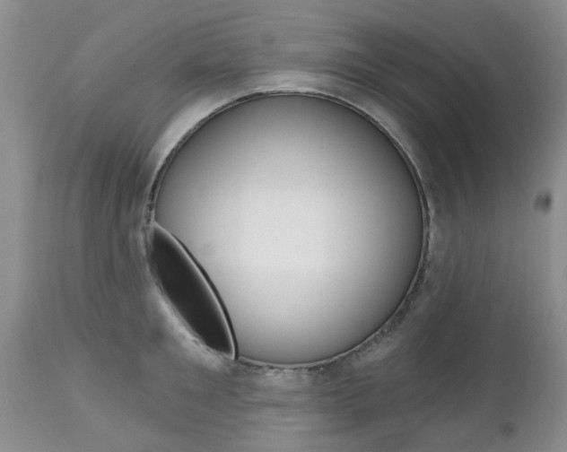 X0000112800901200908211000