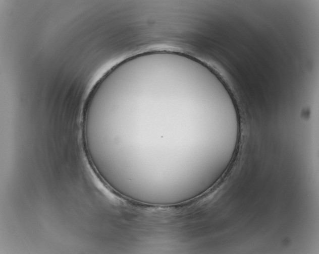 X0000112800902200908211000