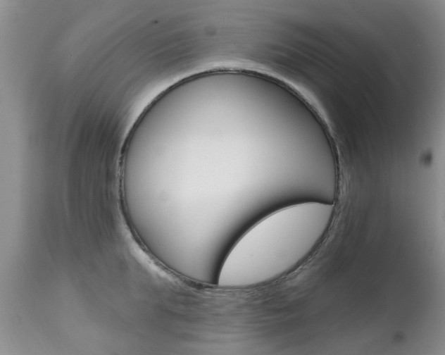 X0000112800903200908211000