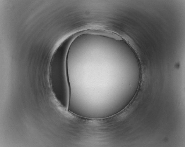 X0000112800904200908211000