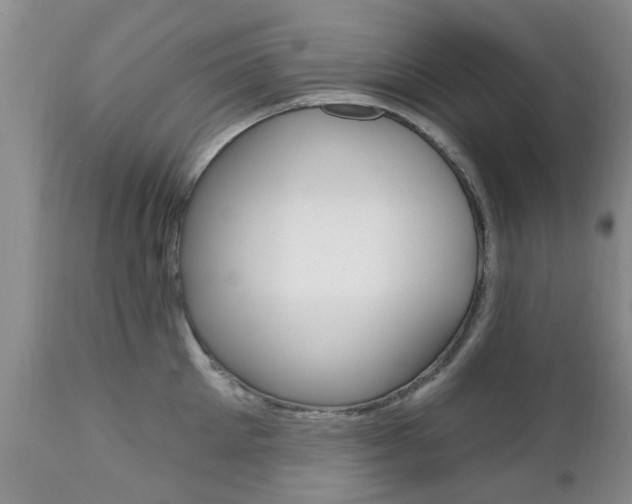 X0000112800905200908211000