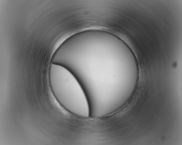 X0000112800906200908211000
