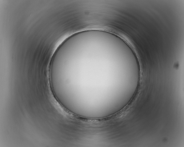 X0000112800907200908211000