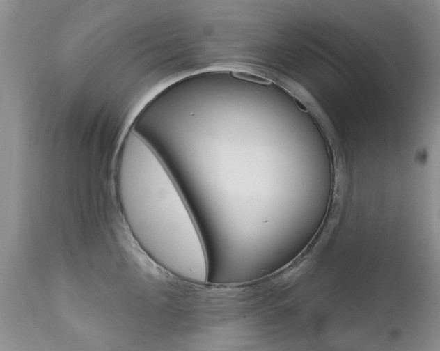 X0000112800908200908211000